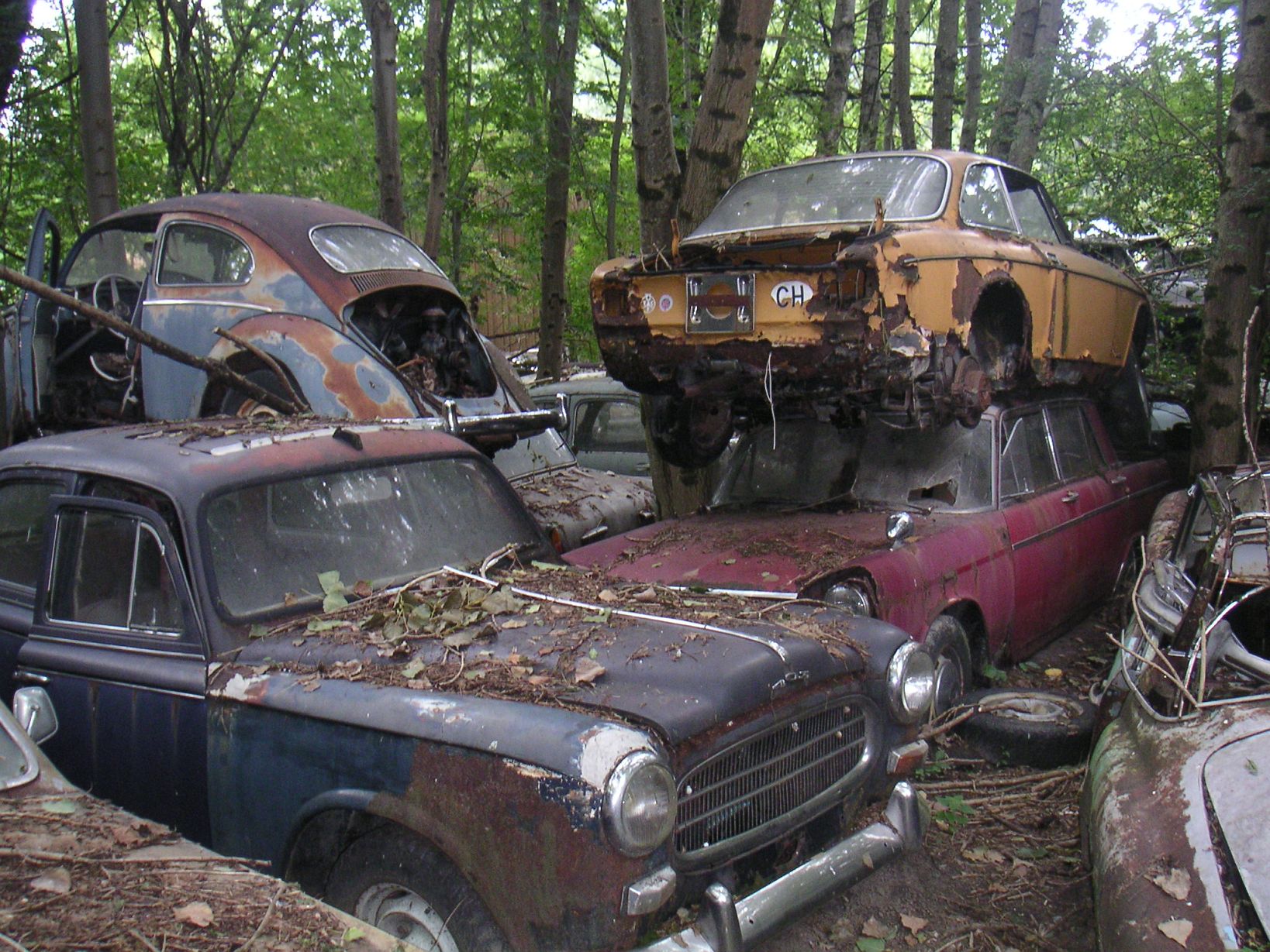 Auto Friedhof 2007 web